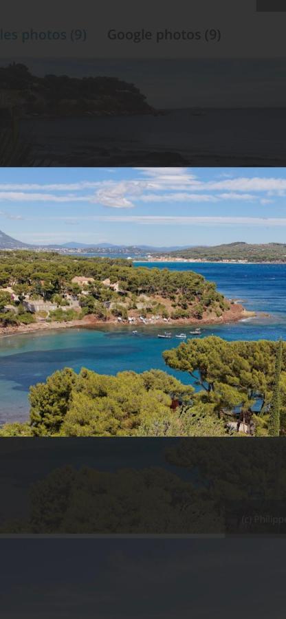 Charmant Studio Dans Villa - Jardin Privatif . La Seyne-sur-Mer Bagian luar foto